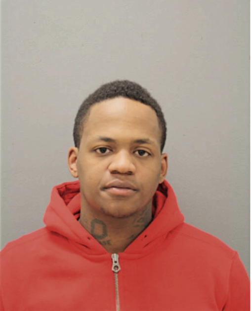 JEREMY R JAMES, Cook County, Illinois
