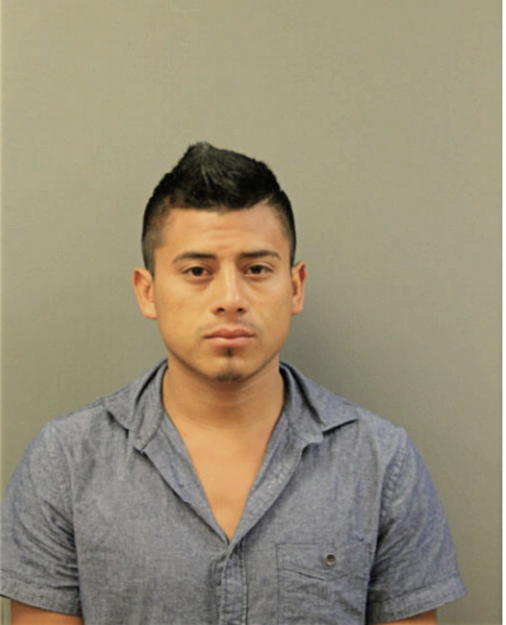 JANNIER E MARTINEZ, Cook County, Illinois