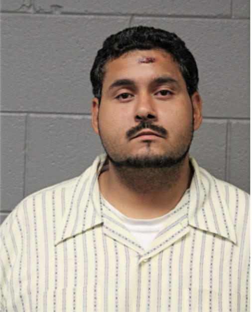 TONY MIRELES, Cook County, Illinois
