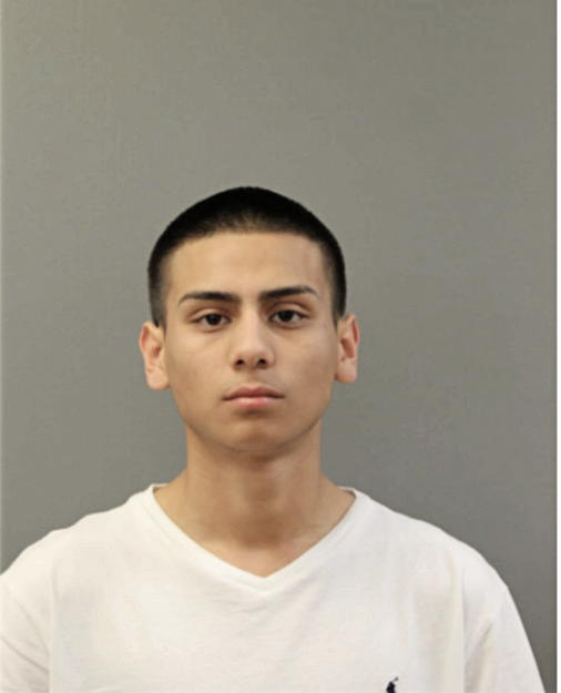 EDGAR M ORTEGA, Cook County, Illinois