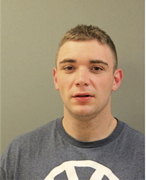 SLOBODAN PESOVIC, Cook County, Illinois