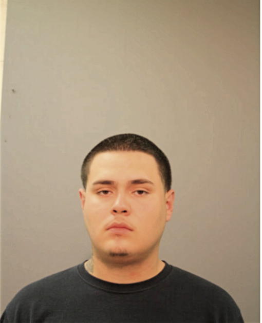 MARCO A PULIDO, Cook County, Illinois