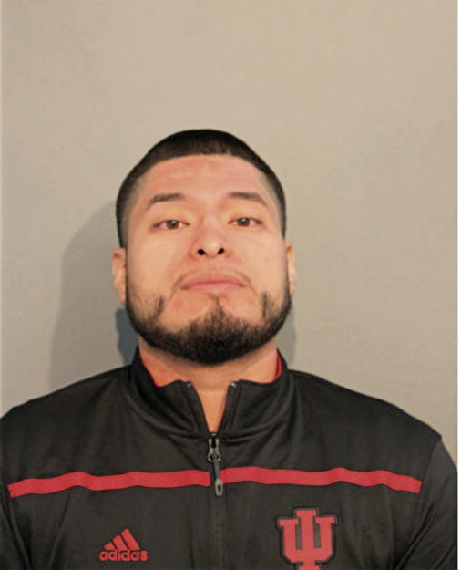 LUIS A SALGADO, Cook County, Illinois