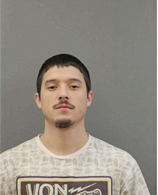 ANDY J SANTANA, Cook County, Illinois