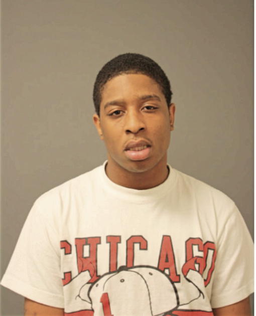 DAVID D TROTTER, Cook County, Illinois