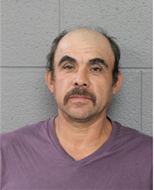 MIGUEL PINEDA VICARIO VICARIO, Cook County, Illinois