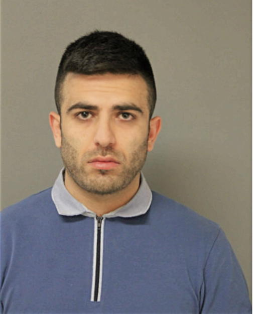 BABAK NEEMA AHMADI, Cook County, Illinois