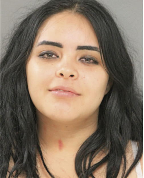 SANDRA T ALCANTAR, Cook County, Illinois