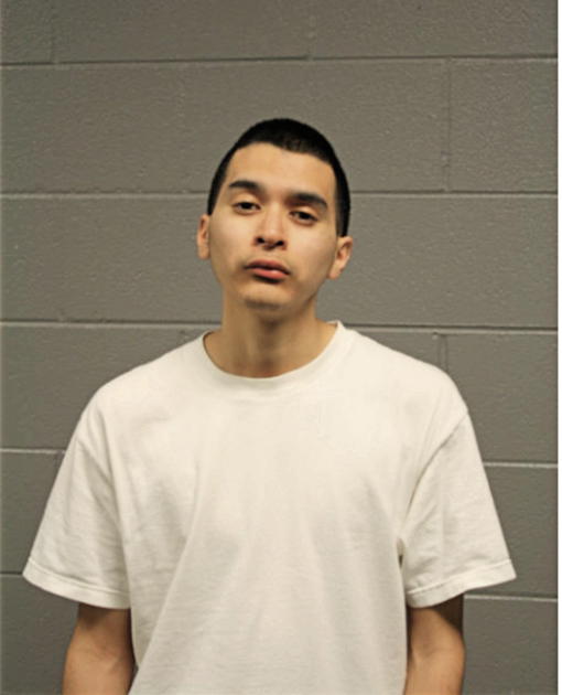 ALEJANDRO CHIQUITO, Cook County, Illinois