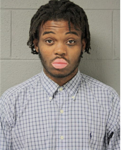 DESMOND L DAVIS, Cook County, Illinois