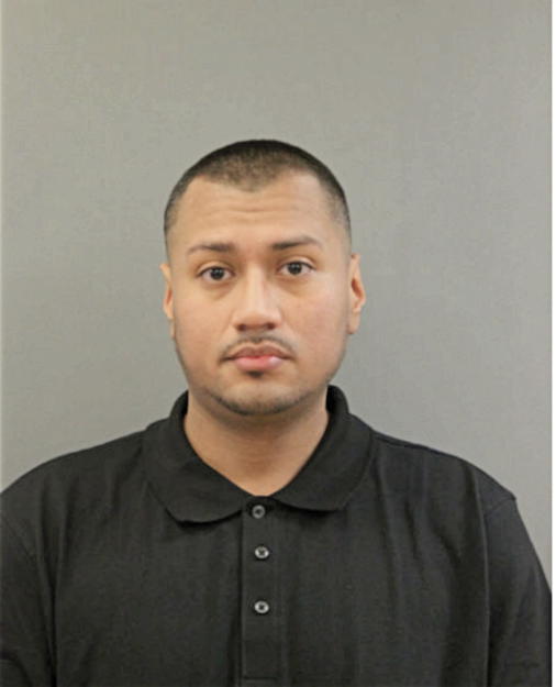 CARLOS DELGADILLO, Cook County, Illinois