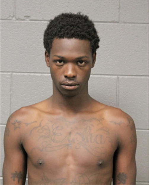 DARREECE D EURING, Cook County, Illinois