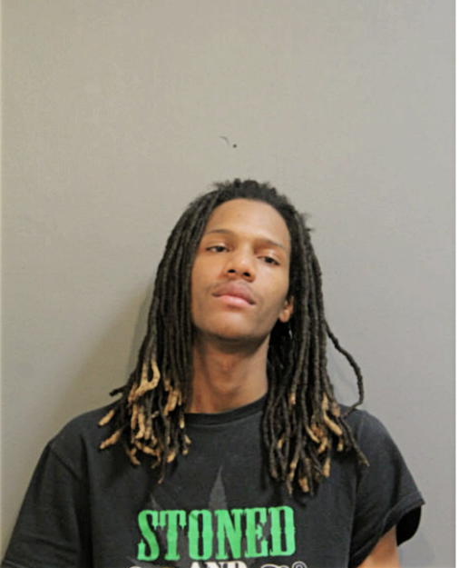BRENDEN J HALE, Cook County, Illinois
