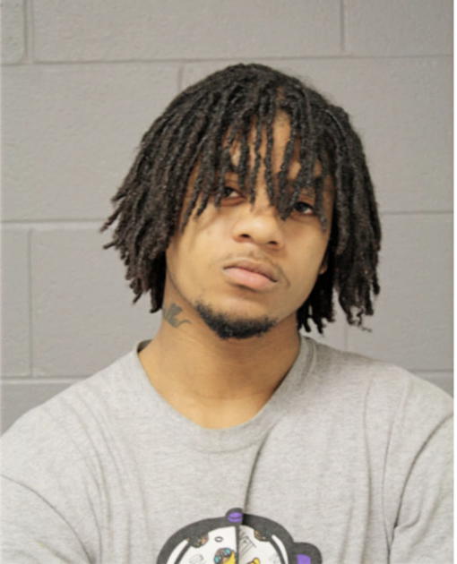 SHAWN L HALL, Cook County, Illinois