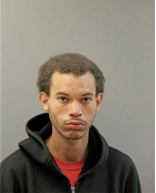SAMUEL J HENDERSON, Cook County, Illinois
