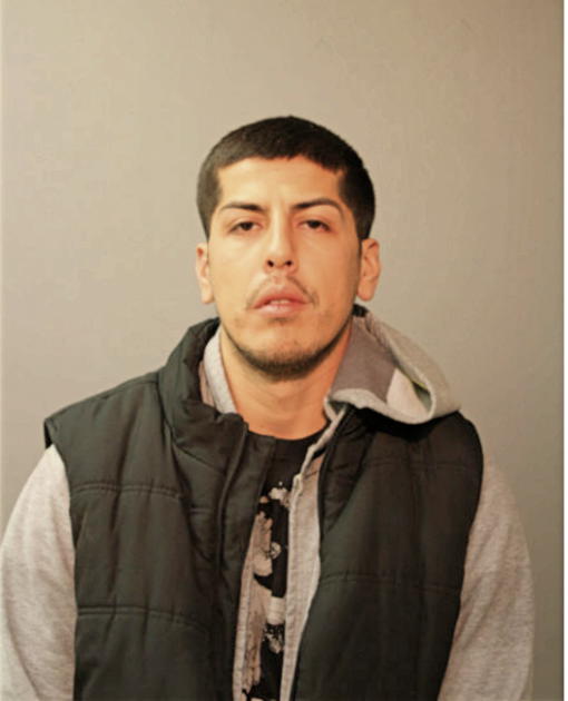 ROBERTO R INCHAUSTI, Cook County, Illinois