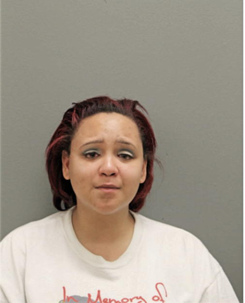 KAREN I JOHNSON, Cook County, Illinois
