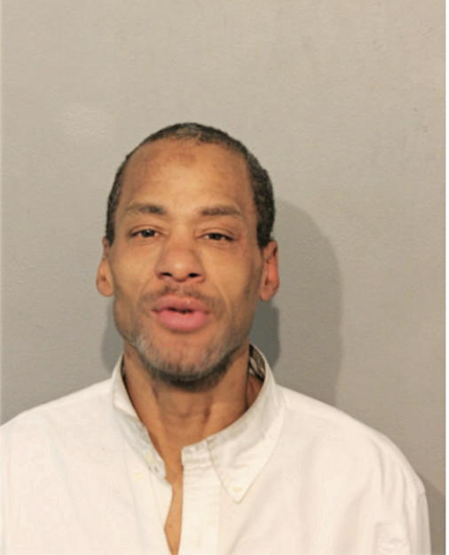 MICHAEL A JOHNSON, Cook County, Illinois