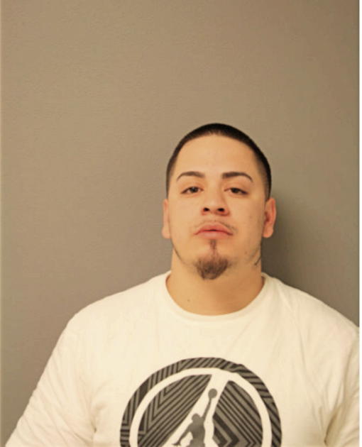 LUIS LECHUGA, Cook County, Illinois