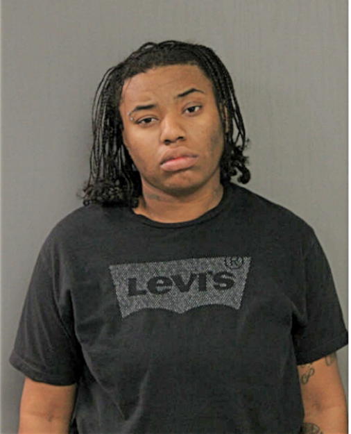 ASHLEY S LEWIS, Cook County, Illinois