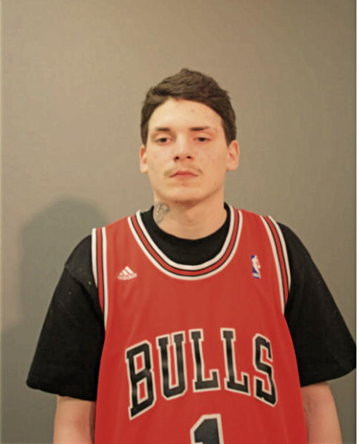 MICHAEL J LUMINO, Cook County, Illinois