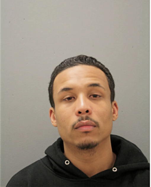FREDDIE J LUSTER, Cook County, Illinois