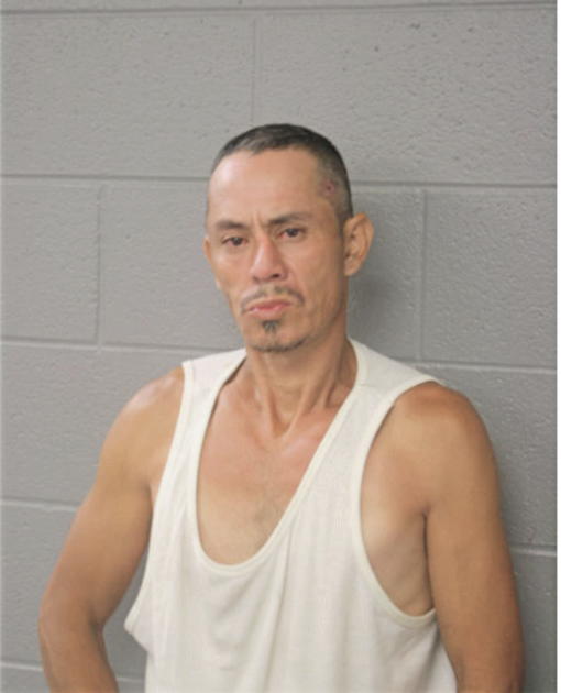 RICARDO MENESES, Cook County, Illinois
