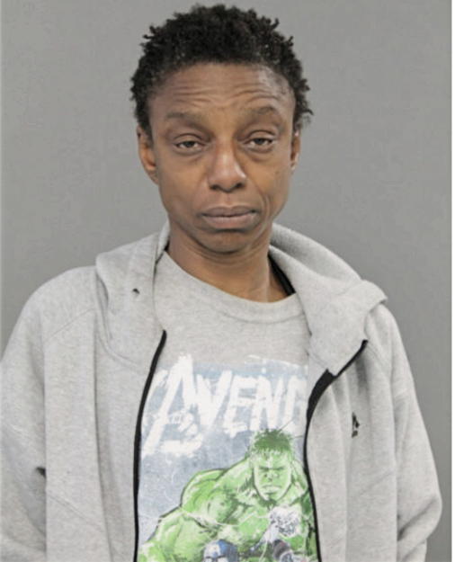 TIMBERLY L MITCHELL, Cook County, Illinois