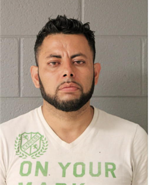 FERNANDO MONROY, Cook County, Illinois
