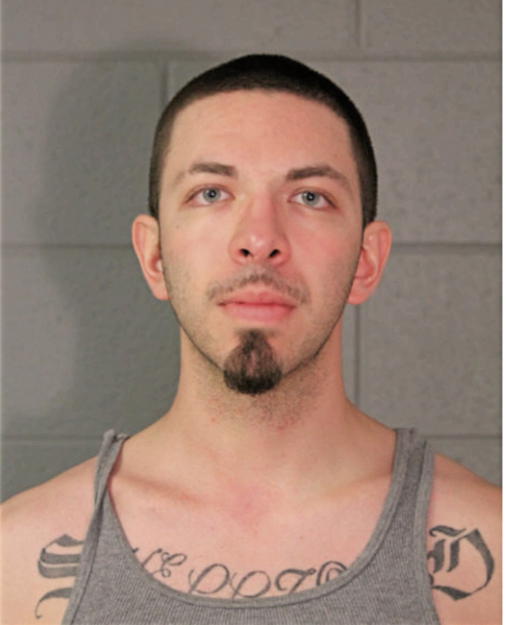 ARAMIS R NAJERA, Cook County, Illinois