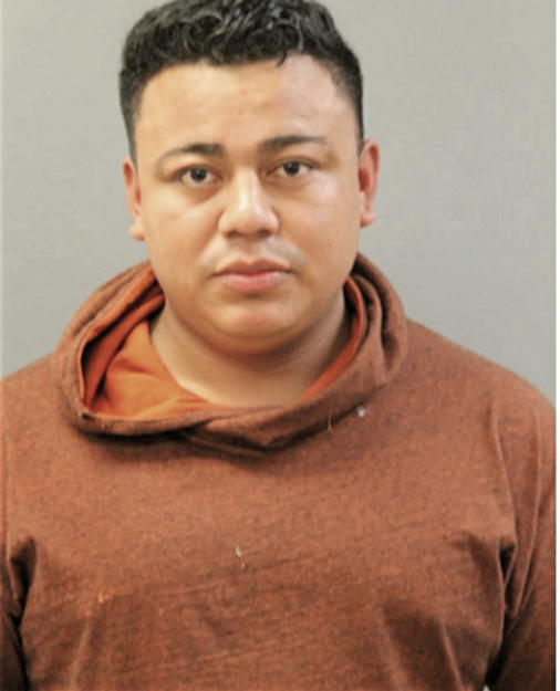 RONY N RAMOS, Cook County, Illinois