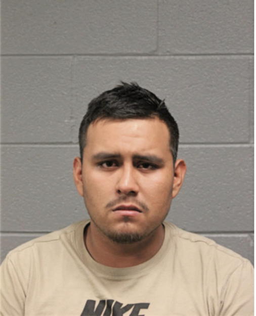 DANIEL N RIVAS, Cook County, Illinois