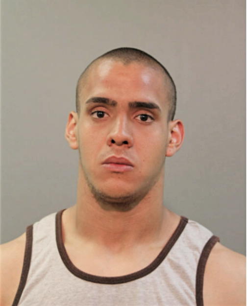 NOEL TORRES, Cook County, Illinois