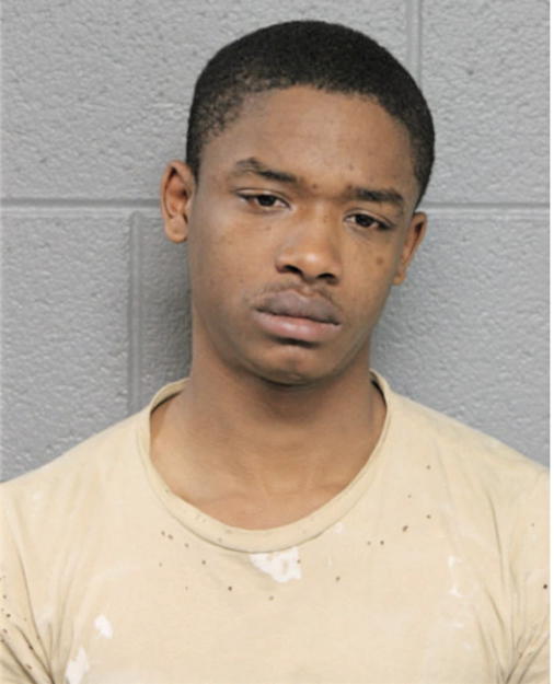 CARL J WILLIAMS, Cook County, Illinois