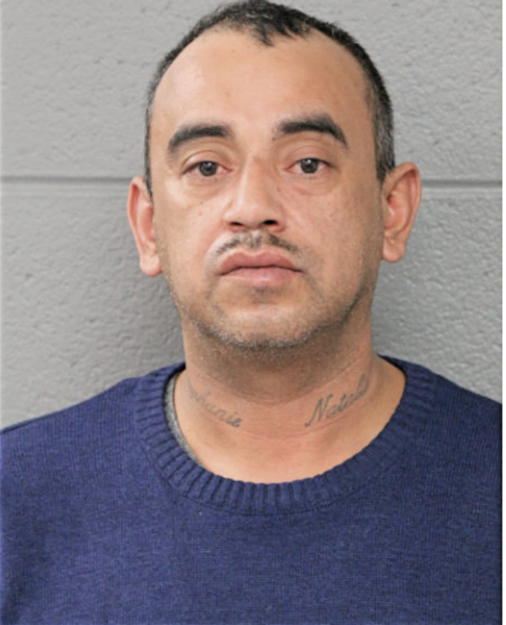 LUIS M ANAYA, Cook County, Illinois