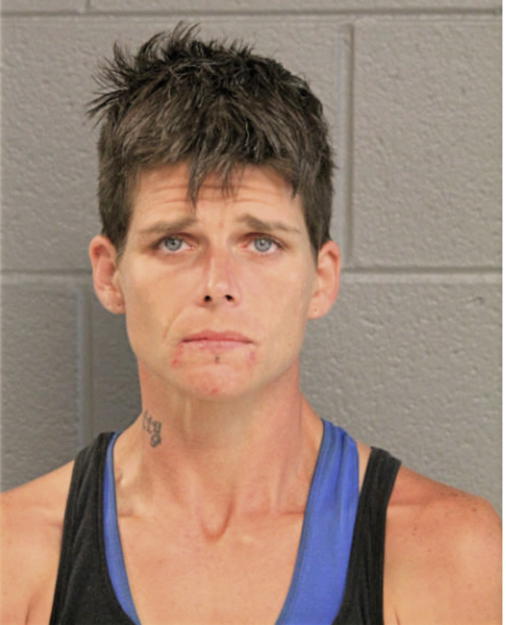 AMANDA BORDERS, Cook County, Illinois