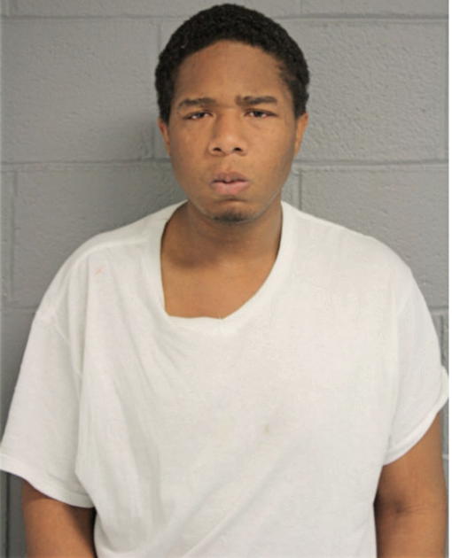 DANIEL L DIGGS, Cook County, Illinois