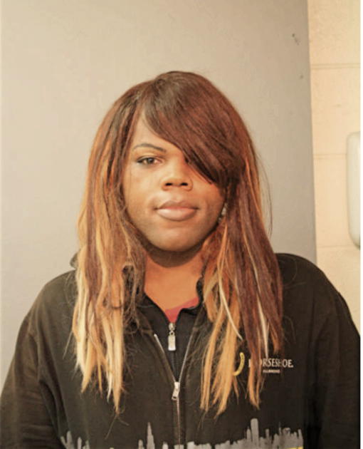 TERRELL EVANS, Cook County, Illinois