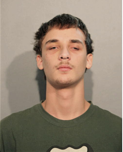 MICHAEL C FORD, Cook County, Illinois