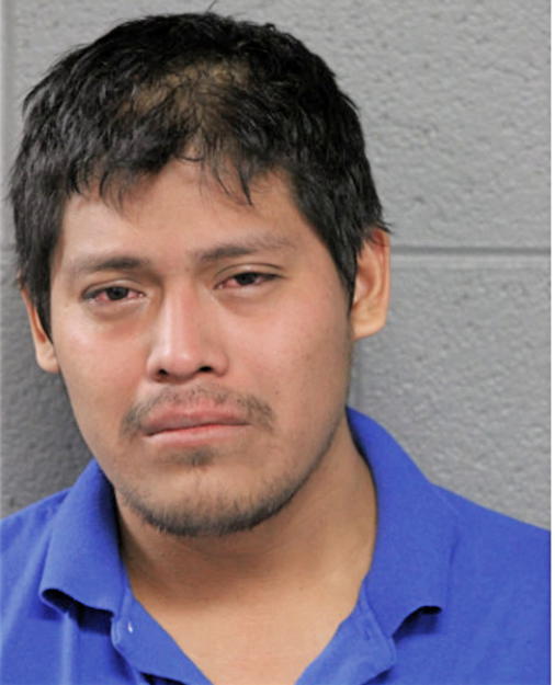 ANGEL FUENTES, Cook County, Illinois