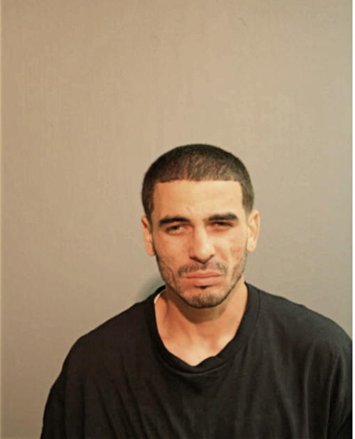 LUIS FUENTES-CATALA, Cook County, Illinois