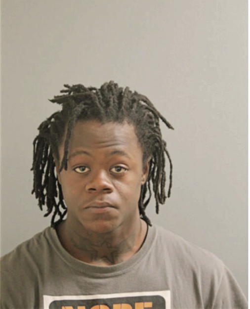 LAAVION D GOINGS, Cook County, Illinois