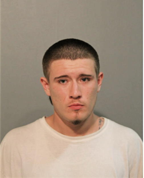 ANTHONY C GUZMAN, Cook County, Illinois
