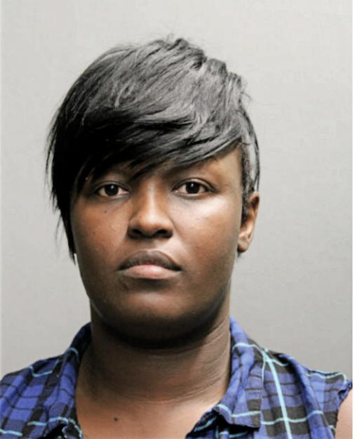 JOHNETTE A HARRIS, Cook County, Illinois