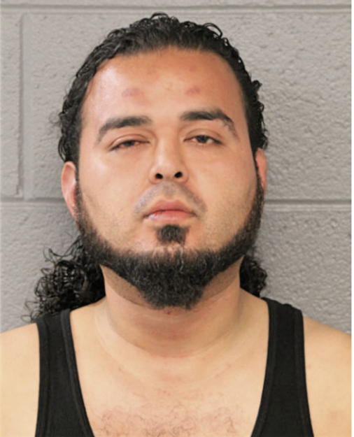 RICARDO HERNANDEZ, Cook County, Illinois