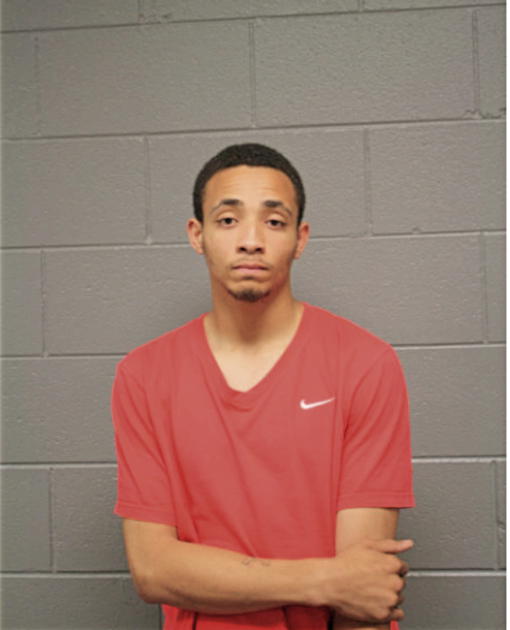 ROBERT L LANDFAIR, Cook County, Illinois