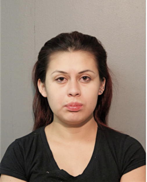 LAURA CECILIA LEMOS-CASTRO, Cook County, Illinois
