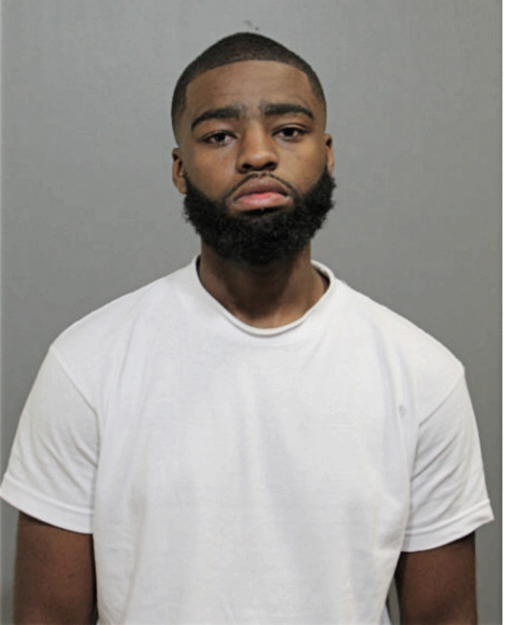 ARMIR R LIGHTFOOT, Cook County, Illinois