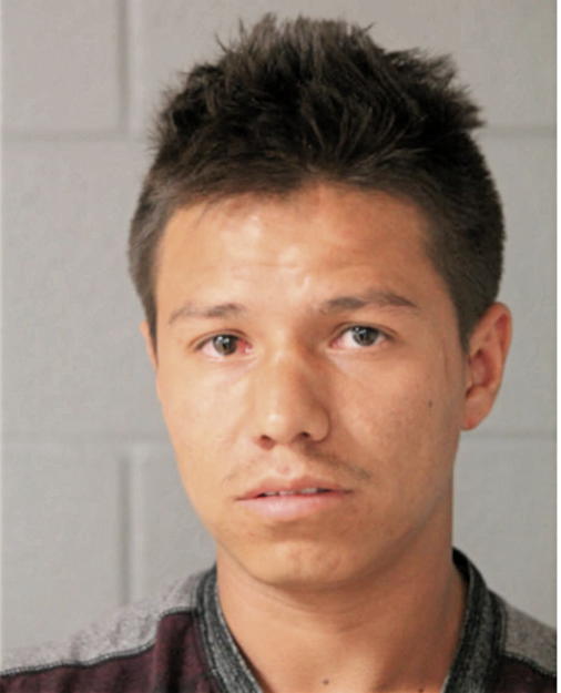 ANDRI A MORALES, Cook County, Illinois