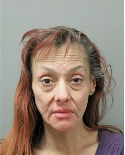 MARY E ORTIZ, Cook County, Illinois